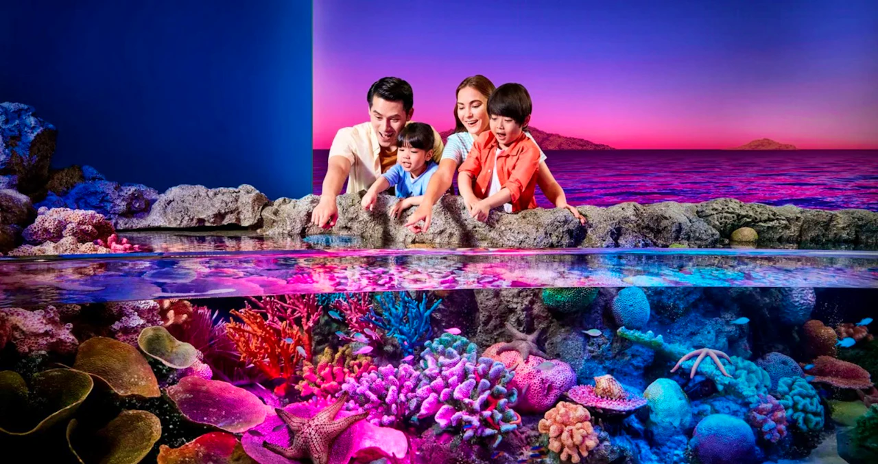 Sea Life Bangkok Tickets Category